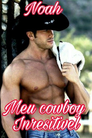 Capa de Noah meu cowboy inresitivel