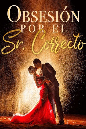 Obsesión por el Sr. Correcto