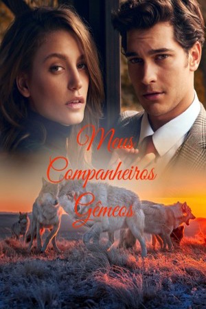 Capa de Meus Companheiros Gêmeos